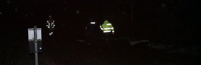 Toter bei Bahnunfall Foto: nnz