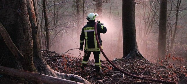 Bild: Fl&auml;chenbrand bei Gro&szlig;lohra
