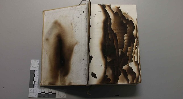 Bild: Verbranntes Buch