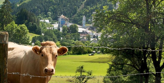 Bild: Mehr recyceln, Natur schonen