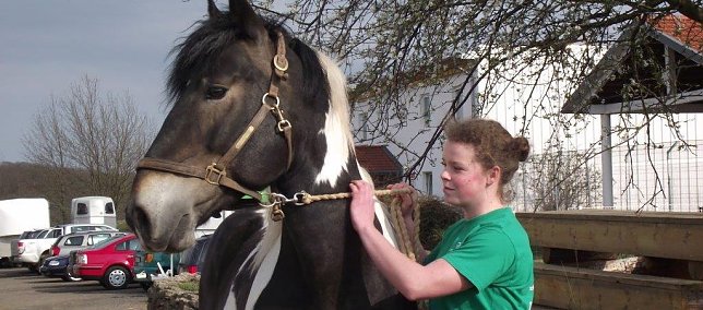 Bild: Larisa F&ouml;rster besucht ihren Lord so oft es geht auf der Farm. Sie mag den Pferdesport, nahm an Dressur- und Springreiten teil.
