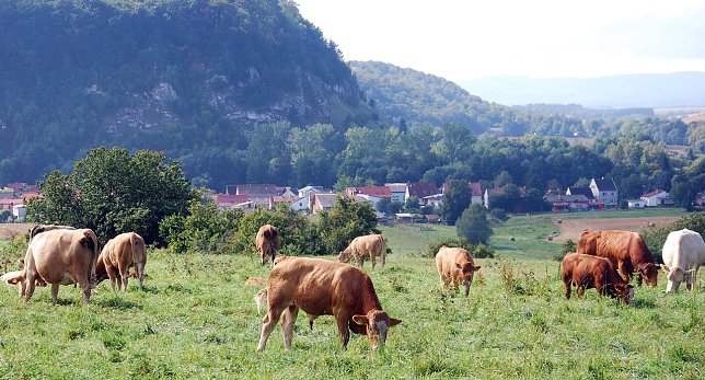 Bild: Wanderung f&uuml;r die Sinne