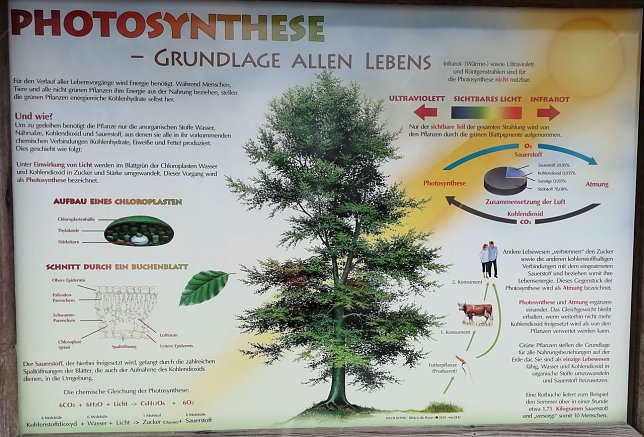Bild: Neue Info-Tafeln rund um die heimische Natur