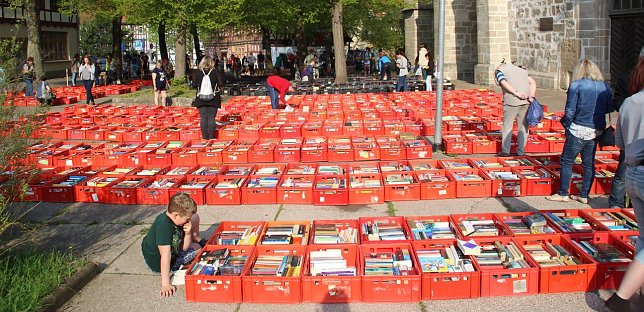 Bild: 800 Kisten voller B&uuml;cher