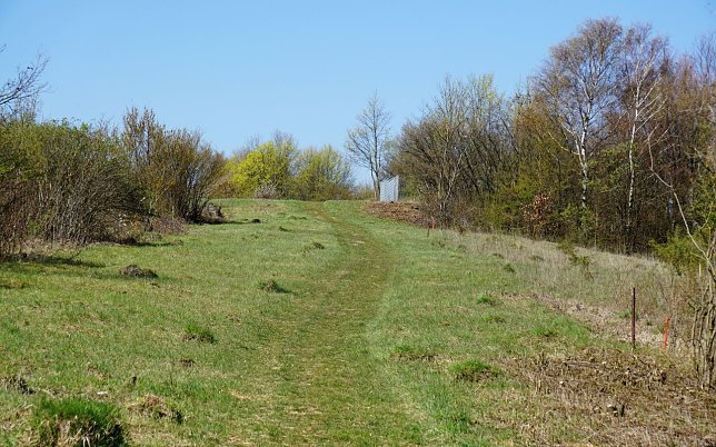 Bild: Wanderweg auf dem Rainberg