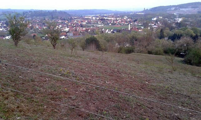 Bild: Verkotete Fl&auml;che
