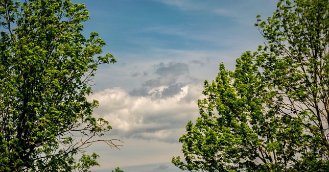 Bild: Wetterbild