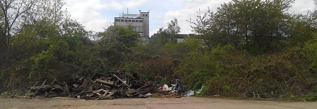 Bild: Zur besseren Orientierung: Im Hintergrund das Reemtsma-Geb&auml;ude.