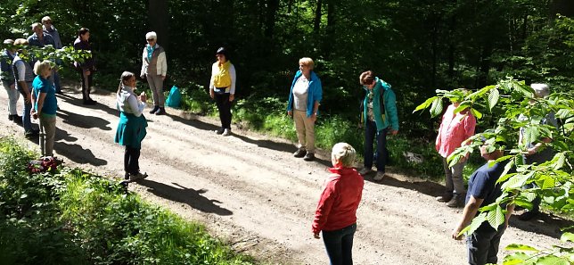 Bild: Atemwanderung