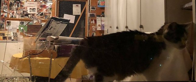 Bild: Attackierte Fensterscheibe