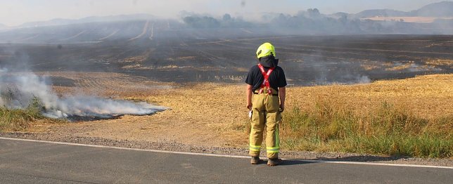 Bild: Gro&szlig;brand zwischen Ellrich und Werna