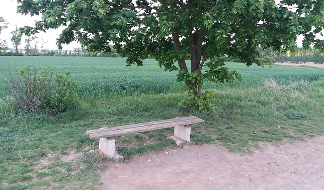 Bild: Bank in der Windl&uuml;cke