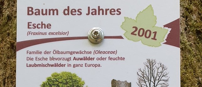 Bild: Balsam f&uuml;r die Seele