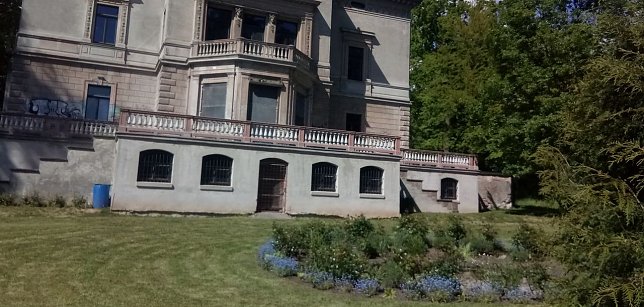 Bild: Blick in den Park. H&uuml;bsch anzusehen das Rosenrondell bei der Villa. So fein gem&auml;ht wie auf dem Bild ist der Park derzeit nicht. Das Gras wuchert in die H&ouml;he, und die Pollen machen an Heuschnupfen leidende Besucher arg zu schaffen.