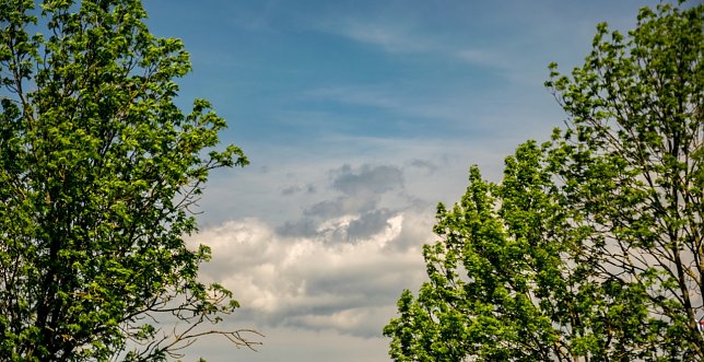 Bild: Wetterbild