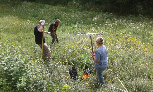 Bild: Teilnehmerinnen und Teilnehmer des 98. landschaftspflegerischen BUND-Einsatzes beobachten Schmetterlinge in der N&auml;he von Steigerthal.