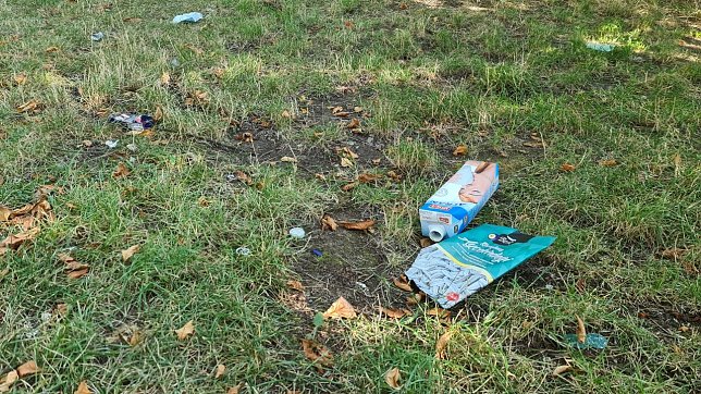Bild: Dieses Foto entstand am heutigen Morgen, es zeigt einen kleinen Ausschnitt, ist leider jedoch repr&auml;sentativ.