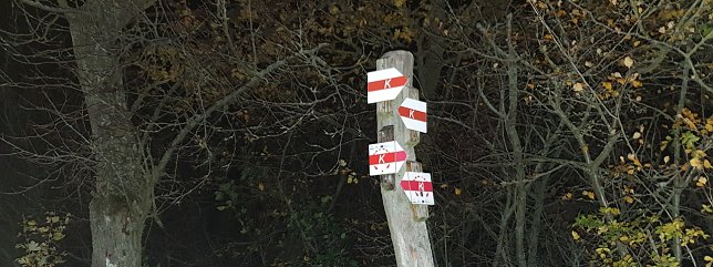 Bild: 100 km durch Karst, Herbstlaub und Schlamm
