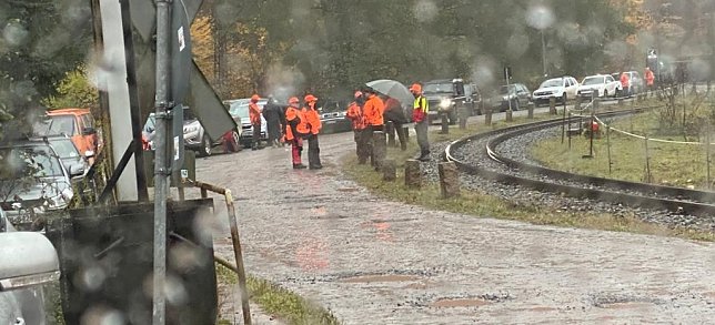 Bild: Auf zum gesellschaftlichen Jagderlebnis