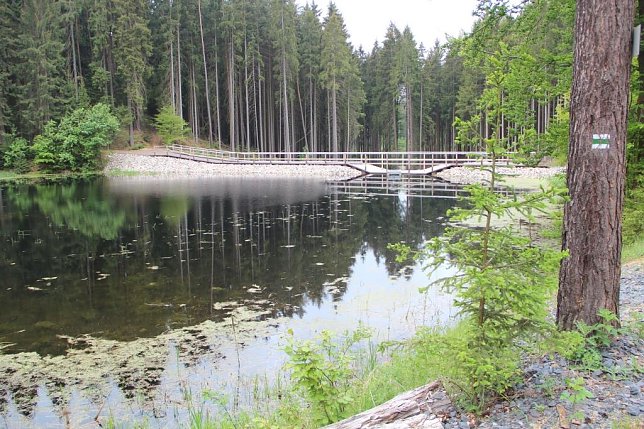 Bild: Sanierter Feuerl&ouml;schteich im Th&uuml;ringer Forstamt Neustadt/Orla: Die Wasserentnahmestelle ist auf der Dammkrone gut zu erkennen