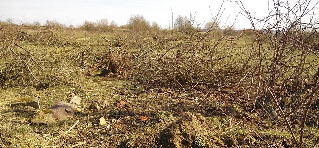 Bild: Schon sind B&uuml;sche und Str&auml;ucher auf einer Fl&auml;che s&uuml;d&ouml;stlich vom Tierheim gerodet. Eine illegale Ma&szlig;nahme, klagt die Untere Naturschutzbeh&ouml;rde und ist emp&ouml;rt. Sie soll Konsequenzen haben.