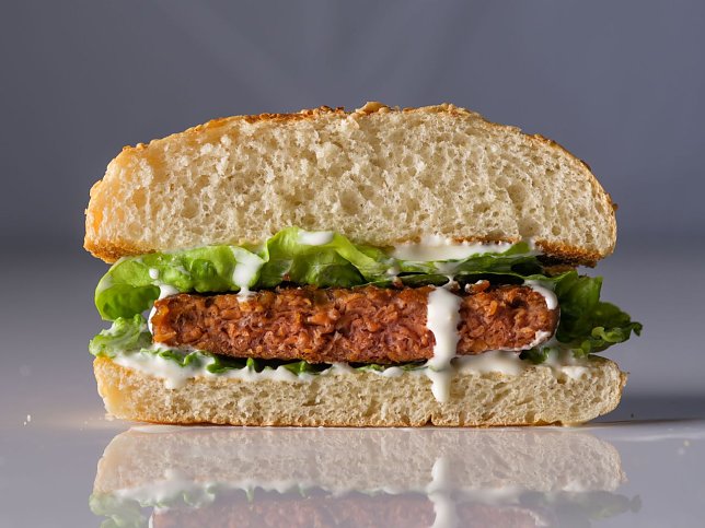 Bild: Veggie-Burger
