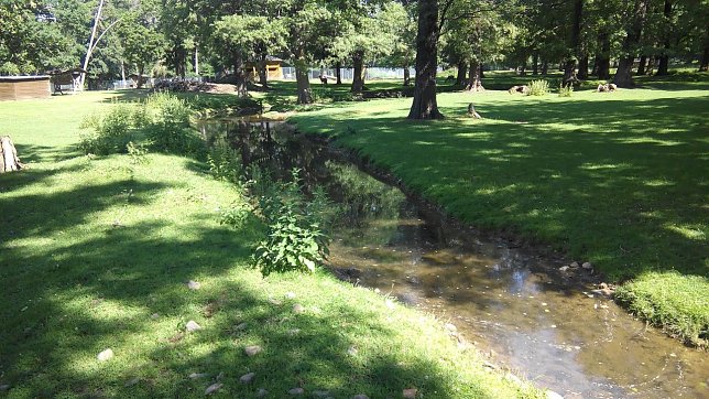 Bild: Mit reichlich Wasser flie&szlig;t der durch den Park f&uuml;hrende Bach dahin. Brenneselnester zieren seinen Verlauf.  An ihm liegt es nicht, wenn das Biotop au&szlig;en vor bleibt.