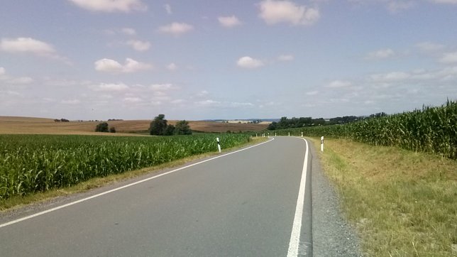 Bild: Wie anderswo auch: Flankiert von Maisfeldern wird die Stra&szlig;e zwischen Haferungen und Schwarze Br&uuml;cke bei P&uuml;tzlingen. Nicht das kleinste Feldkr&auml;utlein oder Bl&uuml;mchen findet sich in den gem&auml;hten Stra&szlig;engr&auml;ben.
