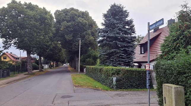 Bild: Soll Umleitungsstrecke werden - die Hesser&ouml;der Landstra&szlig;e in Nordhausen