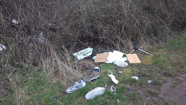 Bild: Allerlei am Weg ich fand � hier leider nicht das, was das Auge erfreut. Nur eine kleine Auswahl an Unrat an und in den B&uuml;schen entlang der HSB-Bahnlinie und der Kleingartenanlage An der Blumensiedlung in Nordhausen