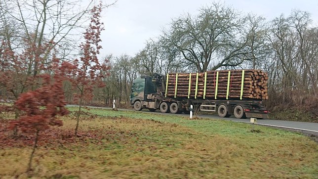 Bild:            