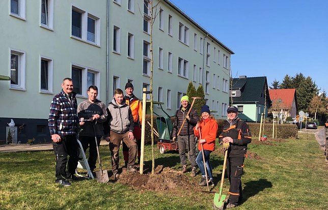 Bild: Baumpflanzaktion in Gro&szlig;wechsungen