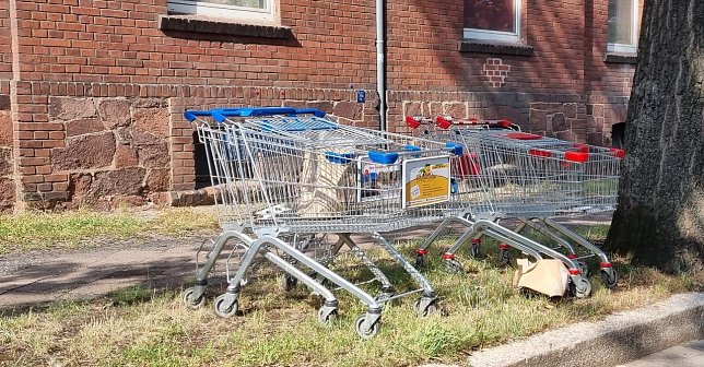 Bild: Einkauf in Nordhausen im Juli 2022