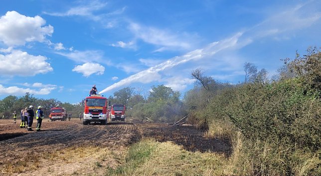Bild: Brand in der Goldenen Aue