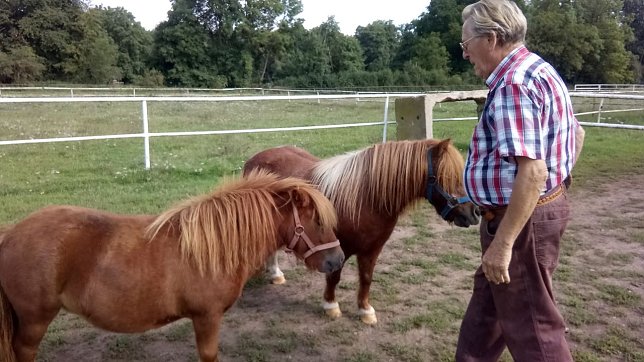 Bild: Die Shetlandponys haben es bei Besuchen auf der Farm  besonders den Kindern angetan.