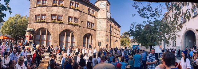 Bild: Fast 600 kamen zum B&uuml;rgerfest der AfD