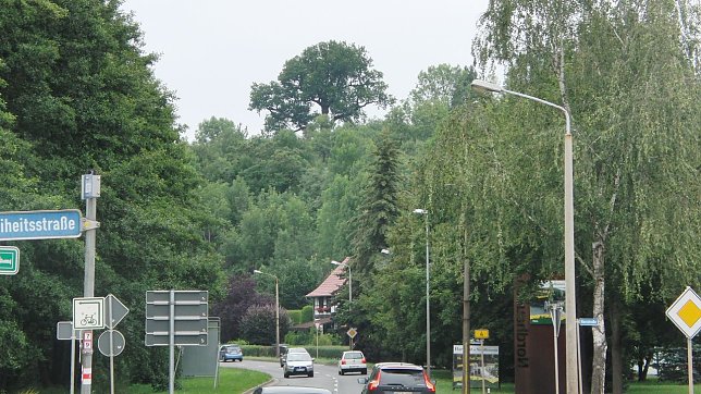 Bild: 