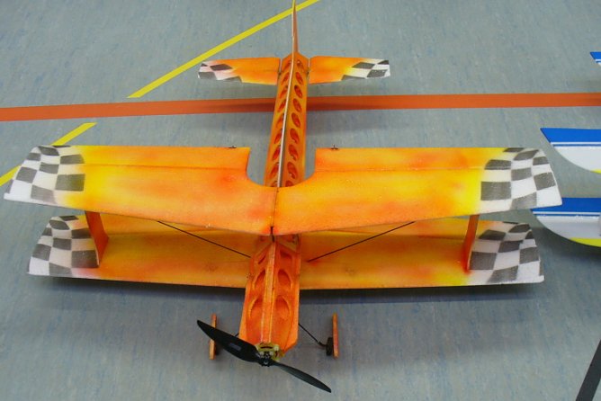 Leichtgewicht (Foto: pln) Leichtgewicht (Foto: pln)