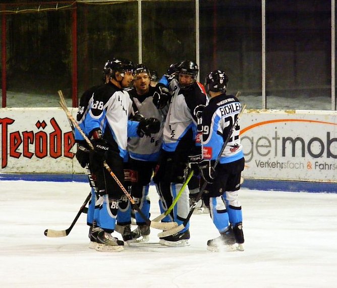Torjubel gegen Bremen (Foto: R. Koch)