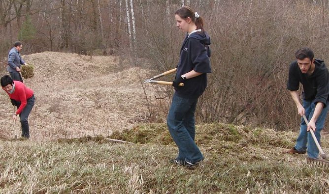 Pflegen (Foto: B. Schwarzberg)