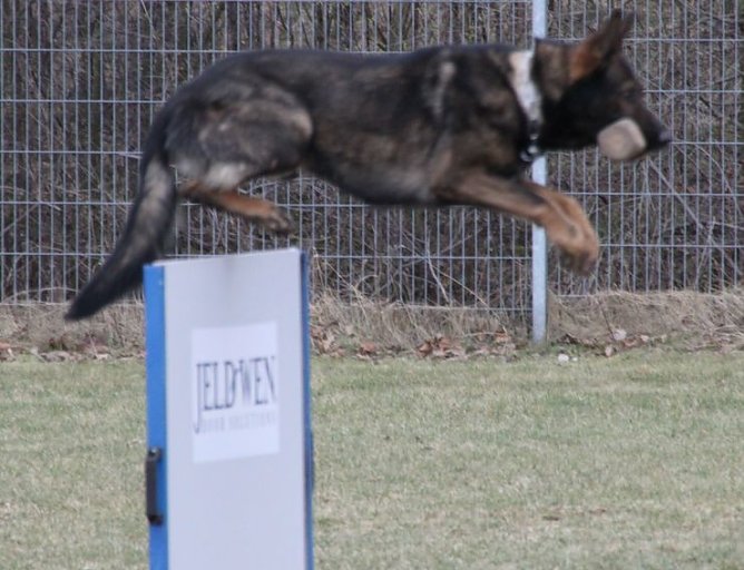 Prüfungen abgelegt (Foto: A. Krause) Prüfungen abgelegt (Foto: A. Krause)