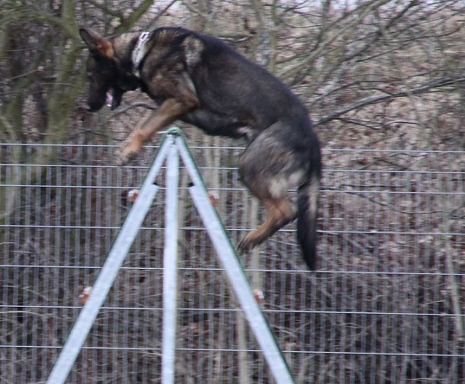 Prüfungen abgelegt (Foto: A. Krause) Prüfungen abgelegt (Foto: A. Krause)