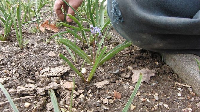 Besuch in Dessau (Foto: B. Schwarzberg)