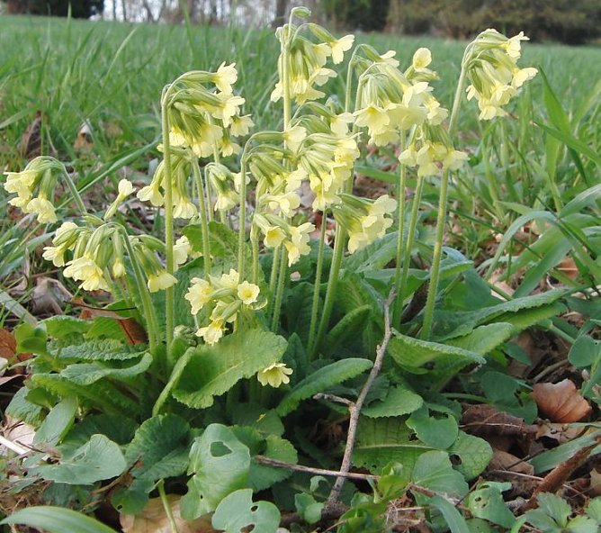 Entdeckt (Foto: privat)