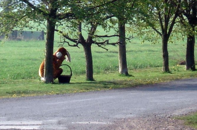 Versteckt (Foto: privat)