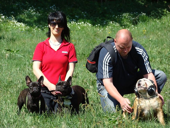 Tierisches Radio (Foto: OKN) Tierisches Radio (Foto: OKN)