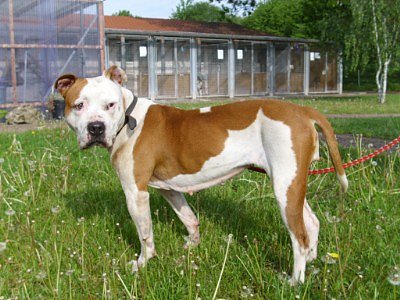 Kessy (Foto: C. Knust) Kessy (Foto: C. Knust)