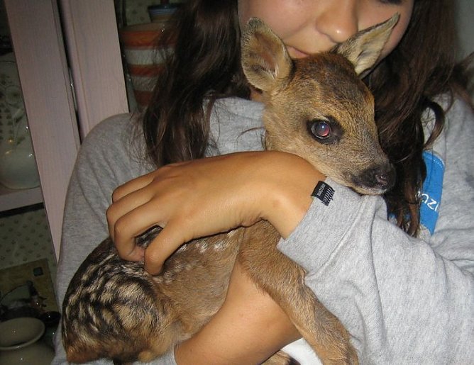 Umsorgt (Foto: privat)