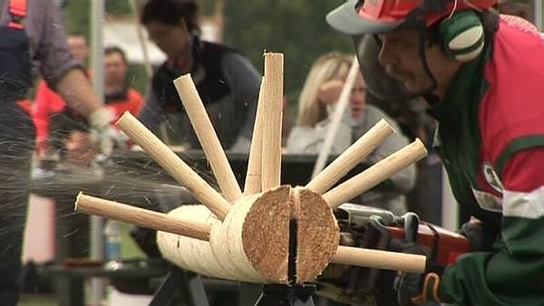 Entastung (Foto: privat) Entastung (Foto: privat)