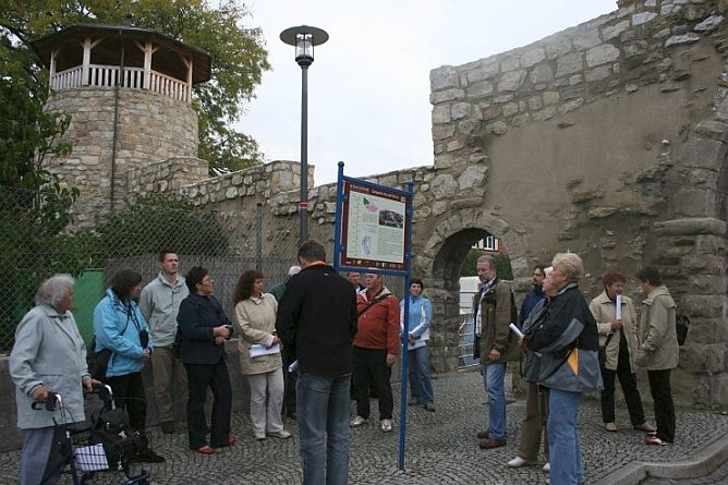 Infoschild (Foto: Wille)